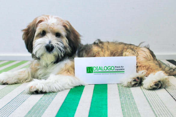 DIALOGO Esslingen: Therapiehund Filou
